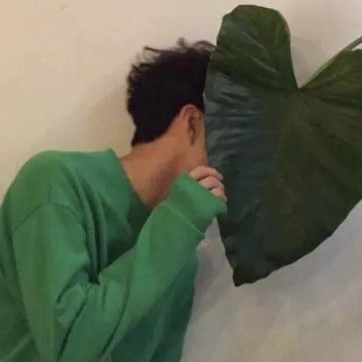 请叫我霸气超拽哥