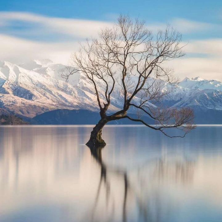 农匠优品 可以闭着眼下单 全场严选好货