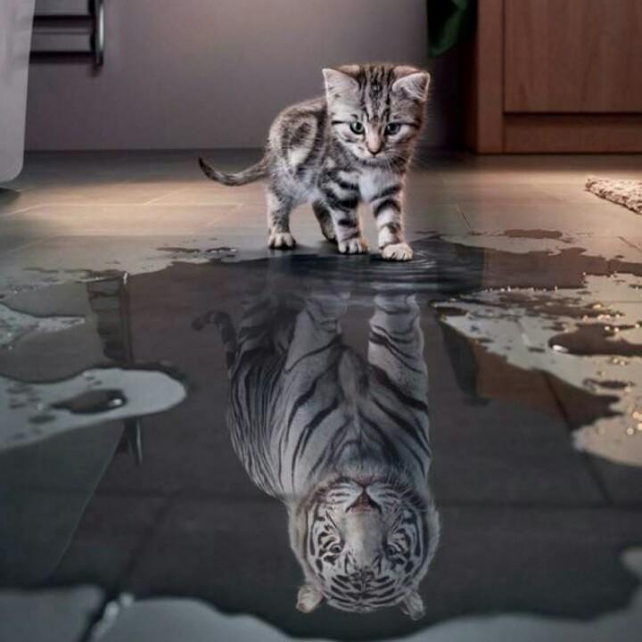 流云