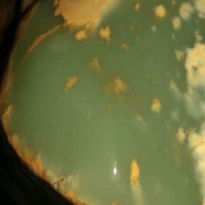 小乐收玉的日常生活