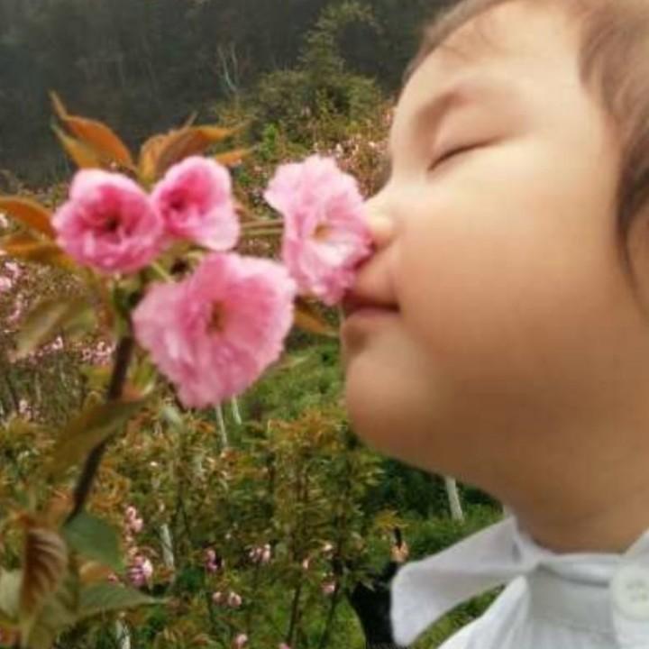 时光淡忘旧人心