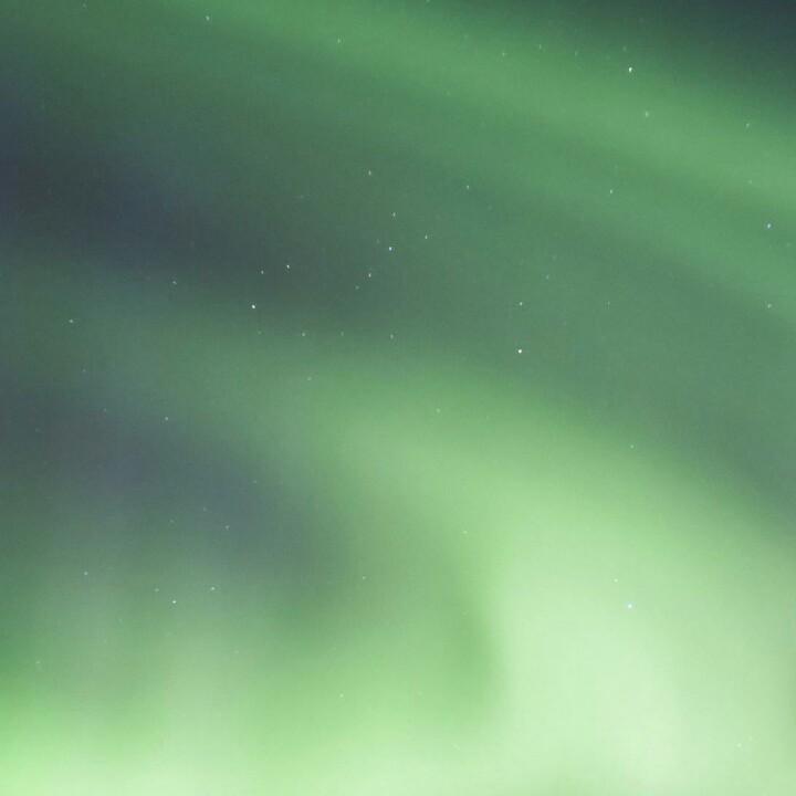 (｡･ω･｡)ﾉ♡