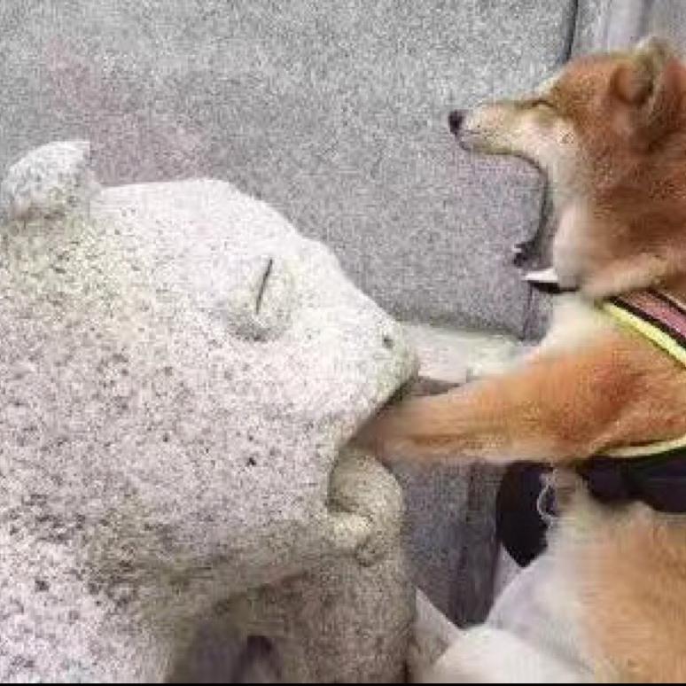 𝙈𝙭·超