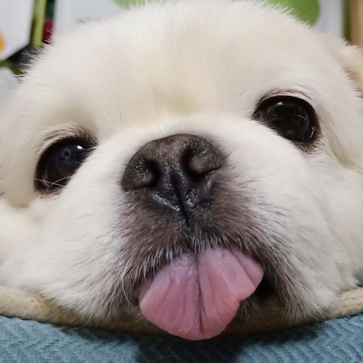 🌈坏坏坏坏东西