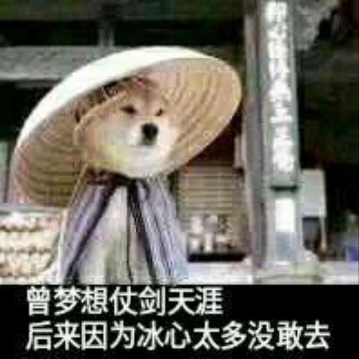 楚羽