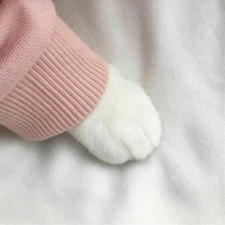 香菜a