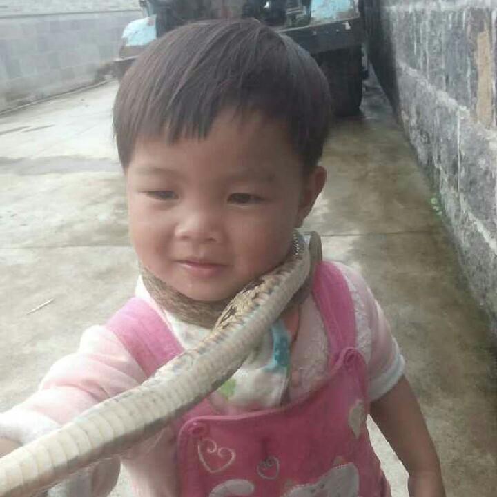 石来运转