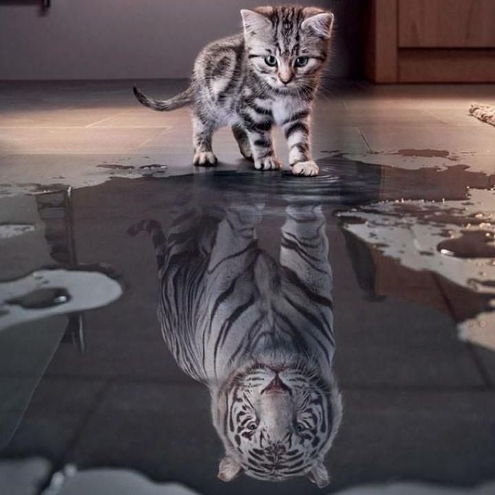 老板儿，来碗窝子面！