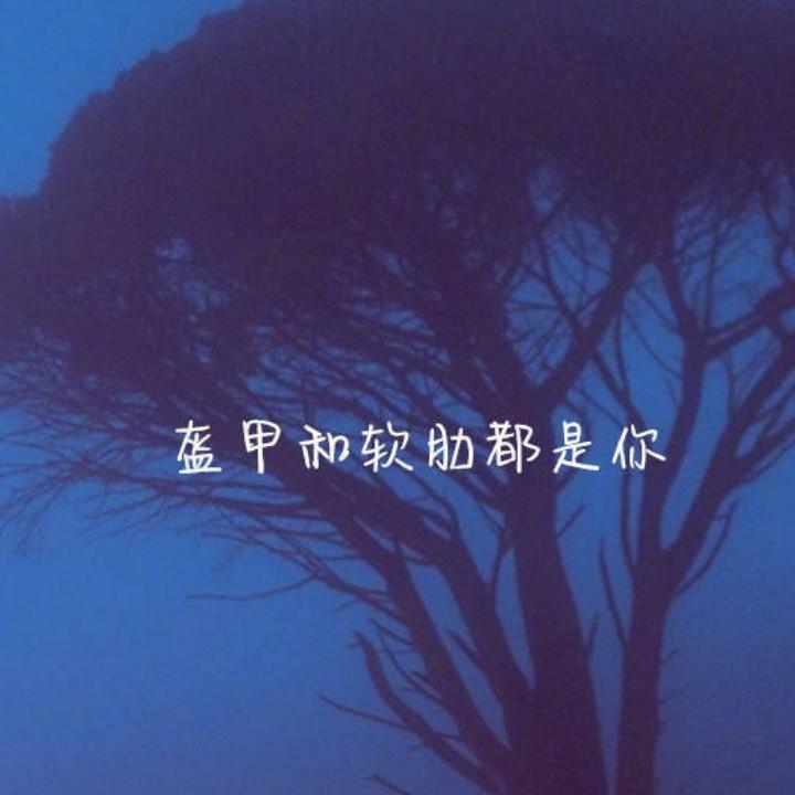 白菜꒰ ˶• ༝ •˶꒱