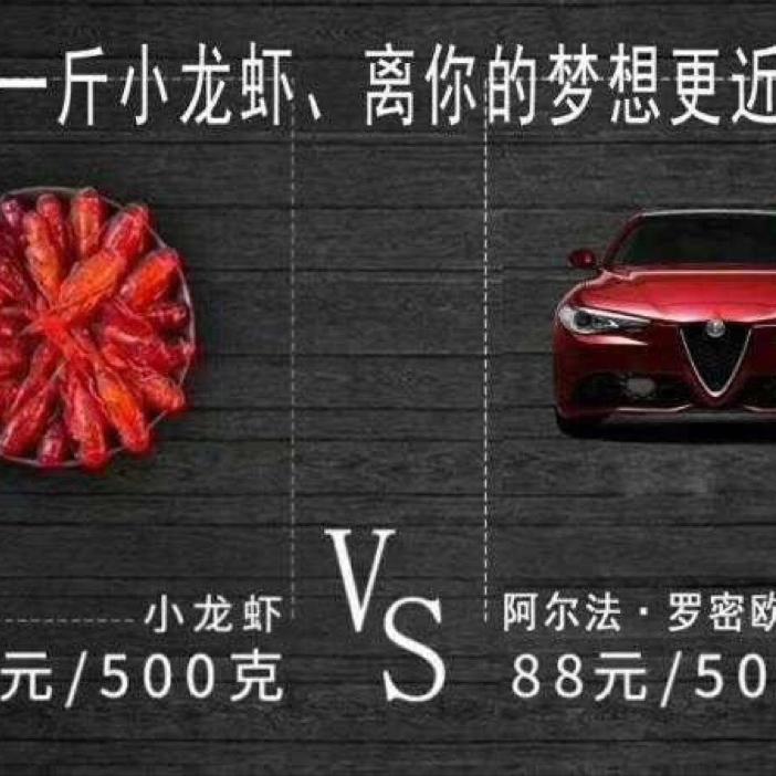 蒂花              　　　༽
