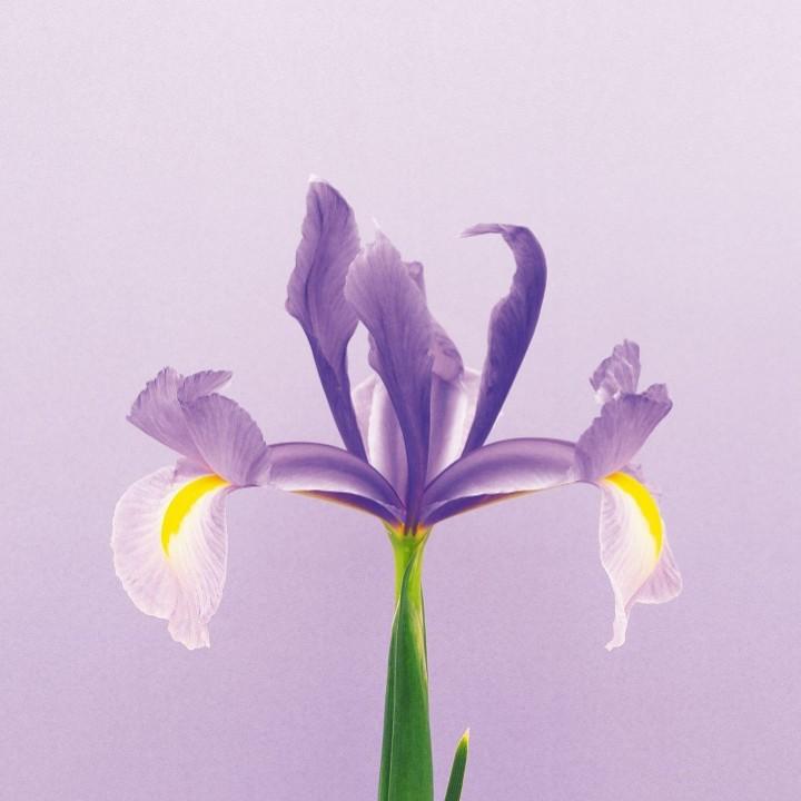 一个人一座城