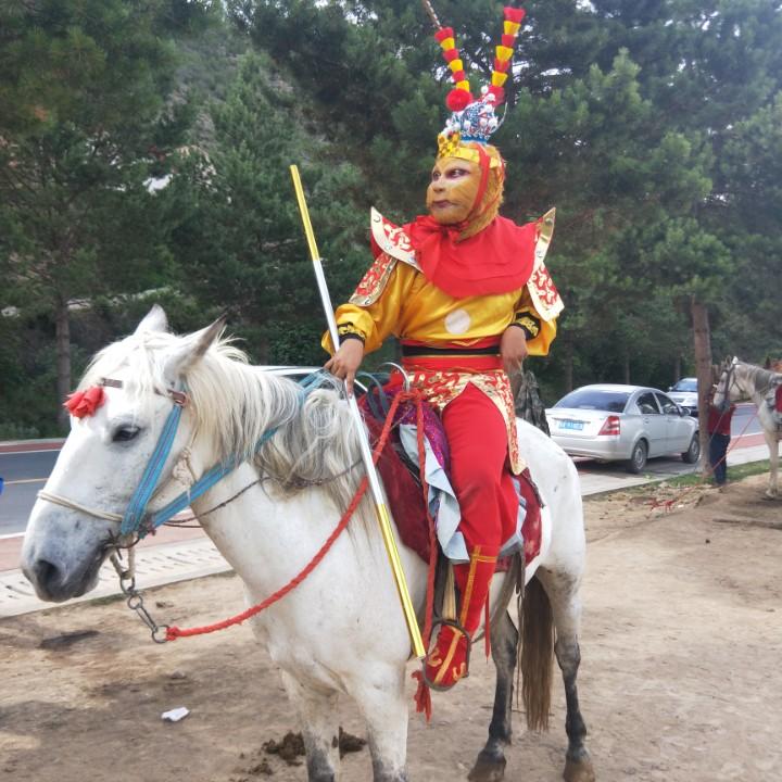 金城灵猴王——阿喜