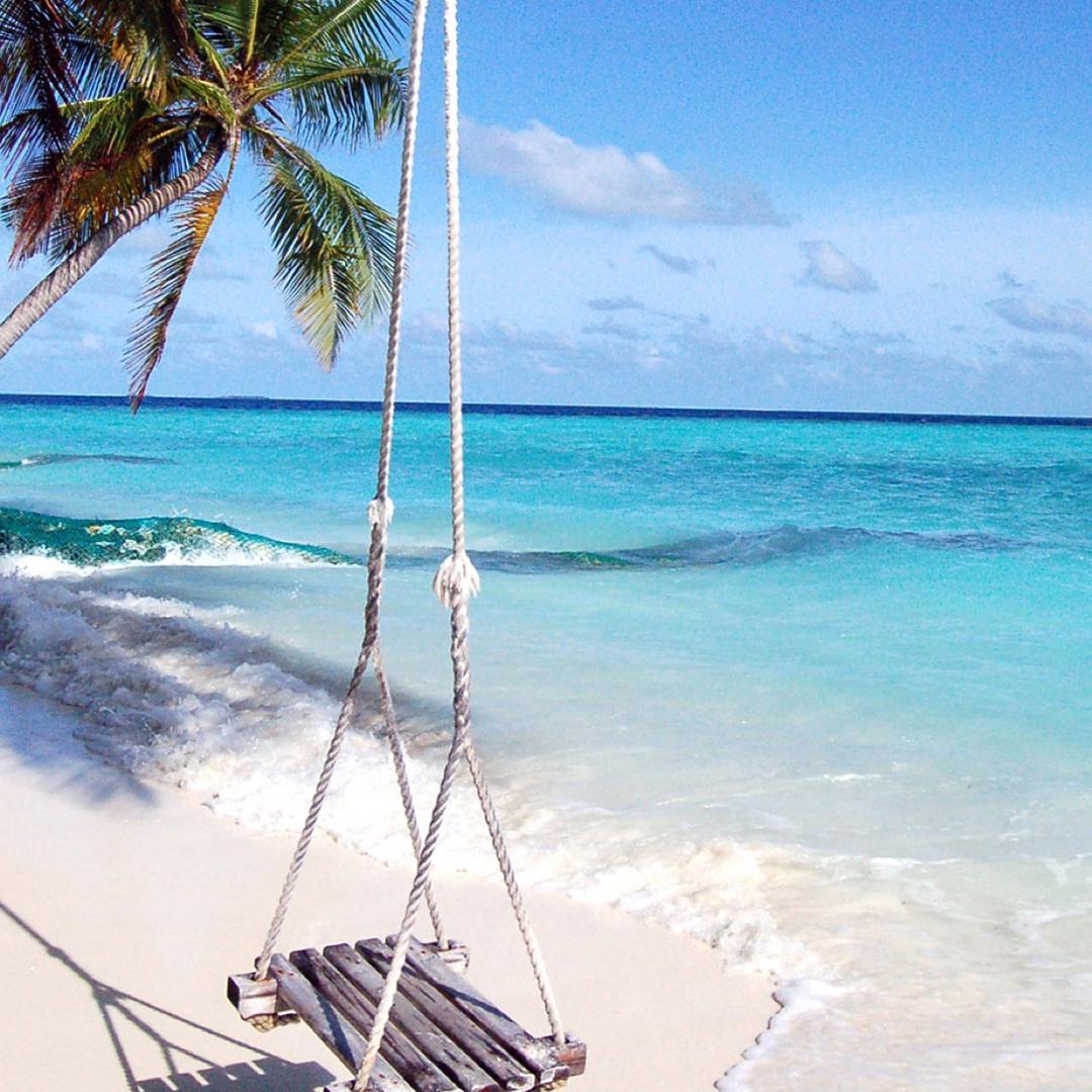 古往今来♥(｡￫v￩｡)♥唯爱永恒