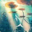 浪浪山的娃娃菜