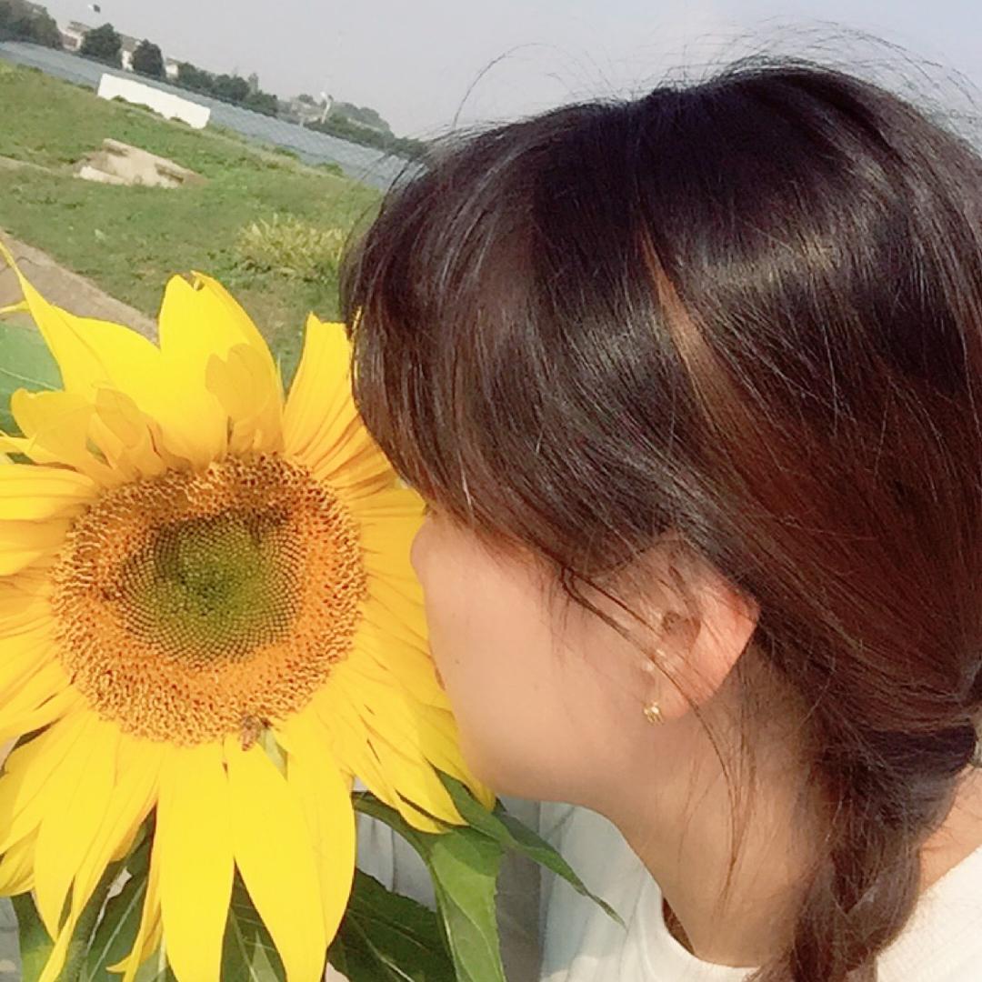 淘气小紫燕