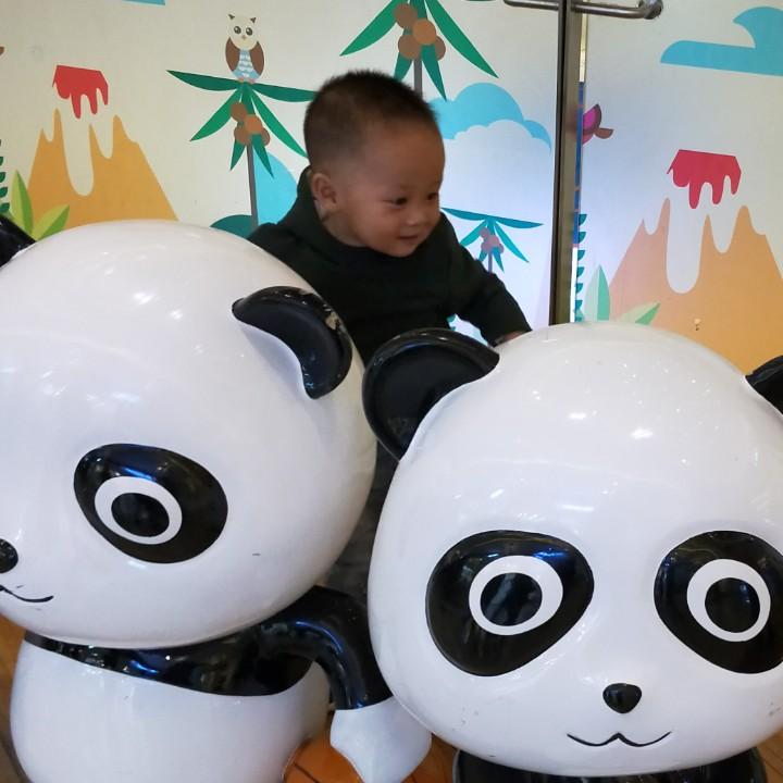 线圈设备源头工厂