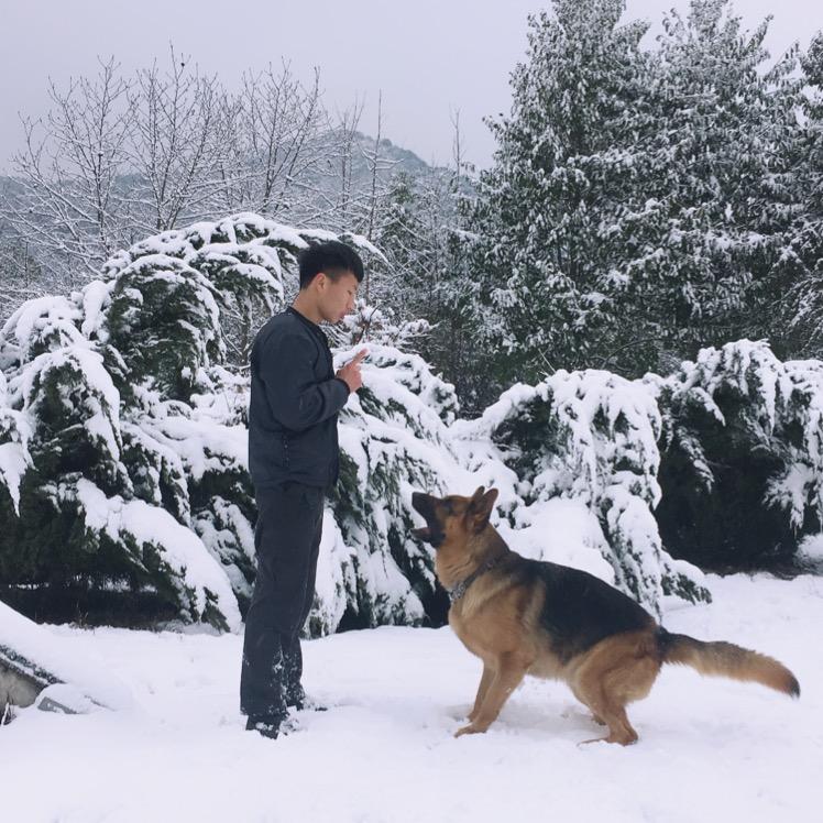 杭州创格训犬基地