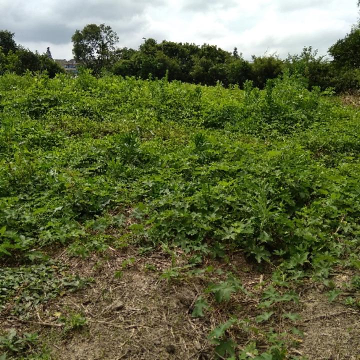 浙家零食零售店