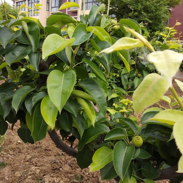 一点风