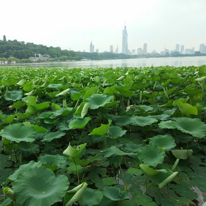 明天