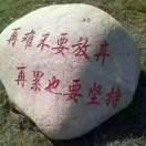 再难不要放弃，再累也要坚持。