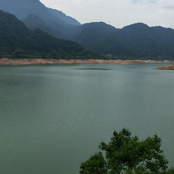 钱老板
