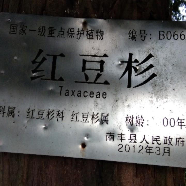 向往美好未来432654231400