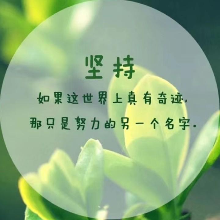 琴姐