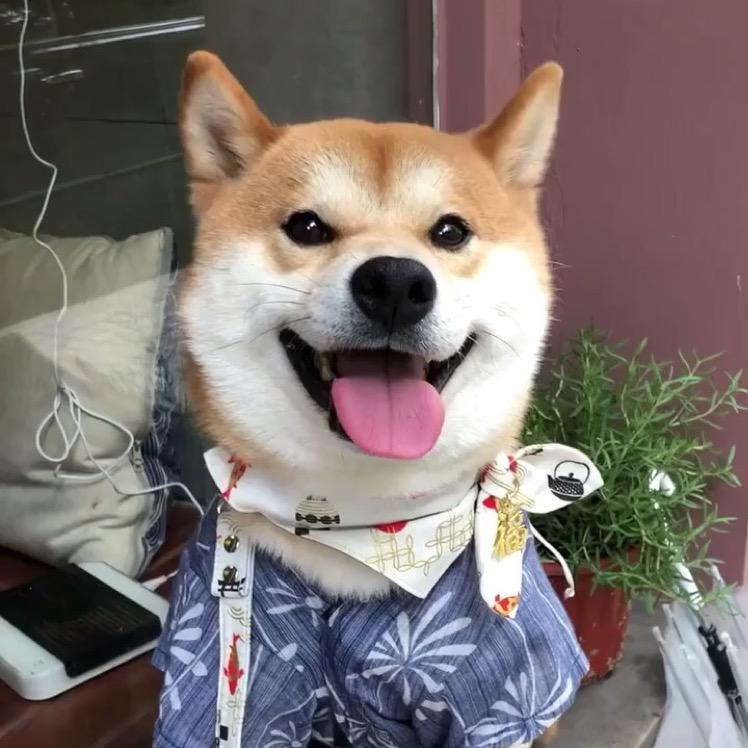 朱某某