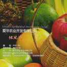 张老师