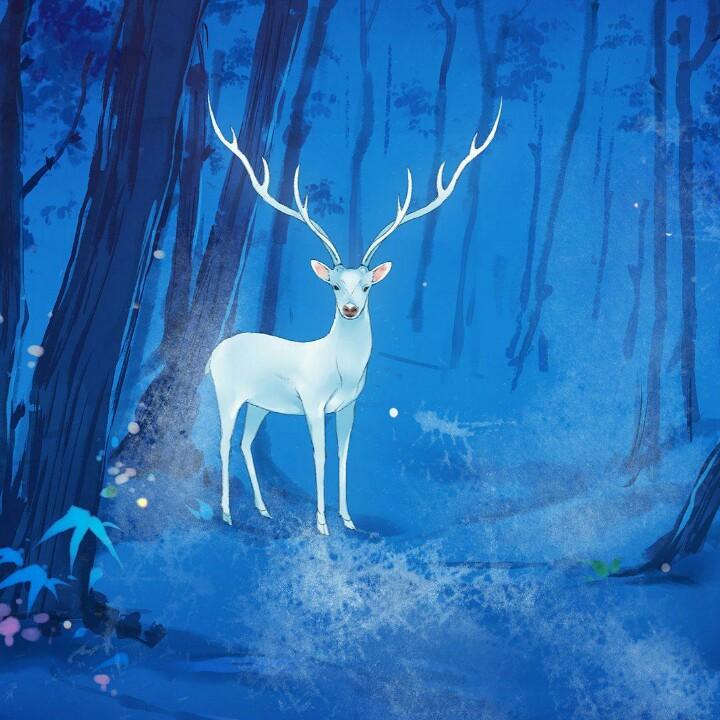 归匆匆 宥匆匆 宥初初