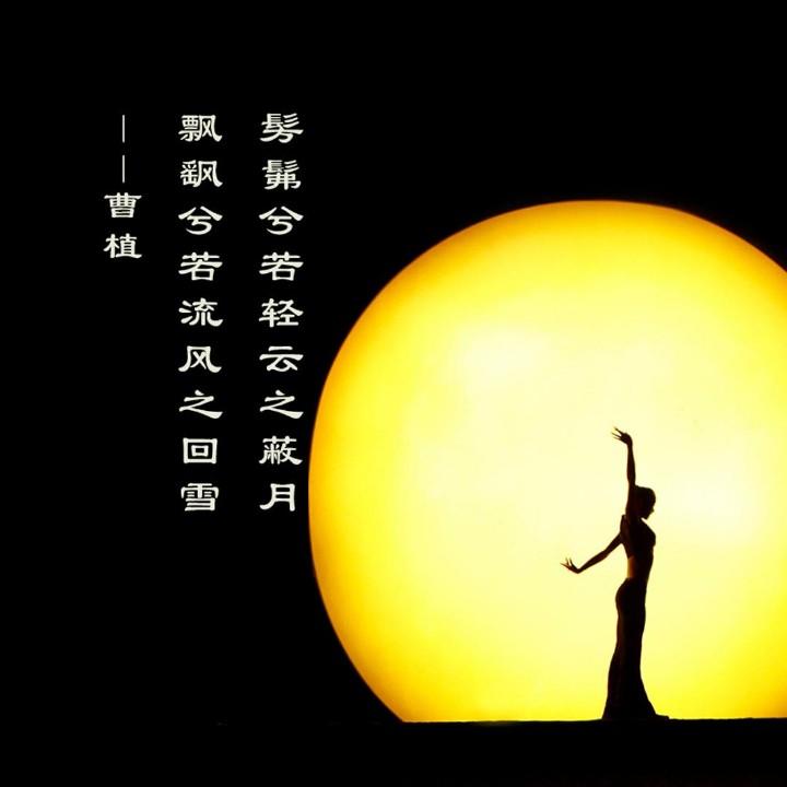 草原的狼