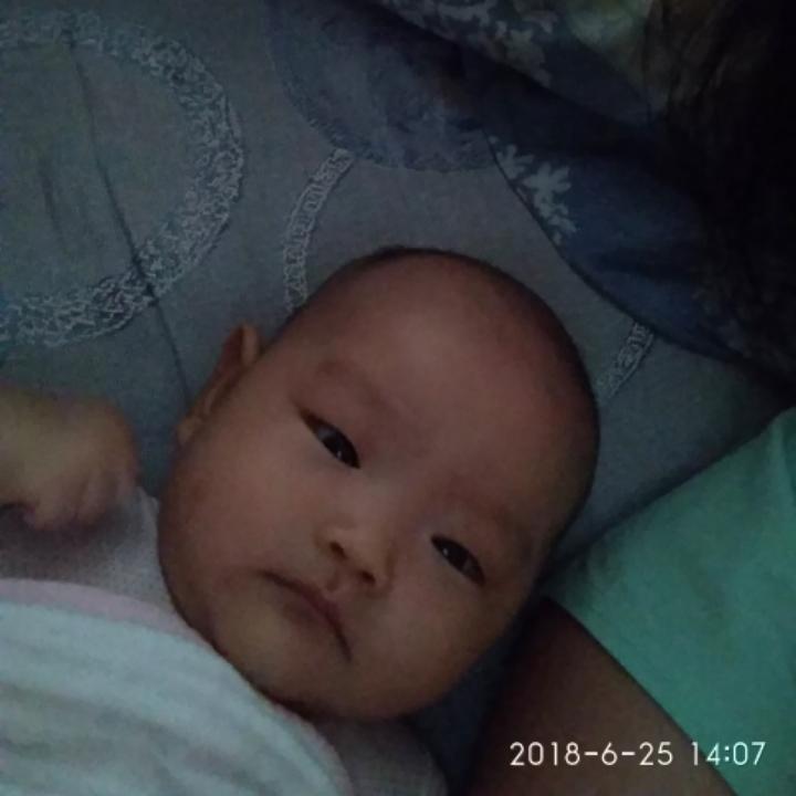诺诺