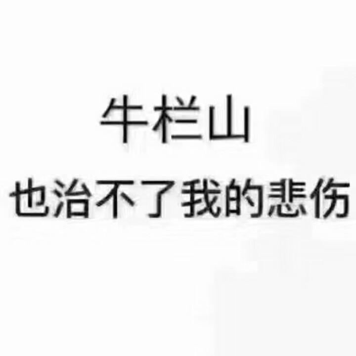 动感酒吧锐哥