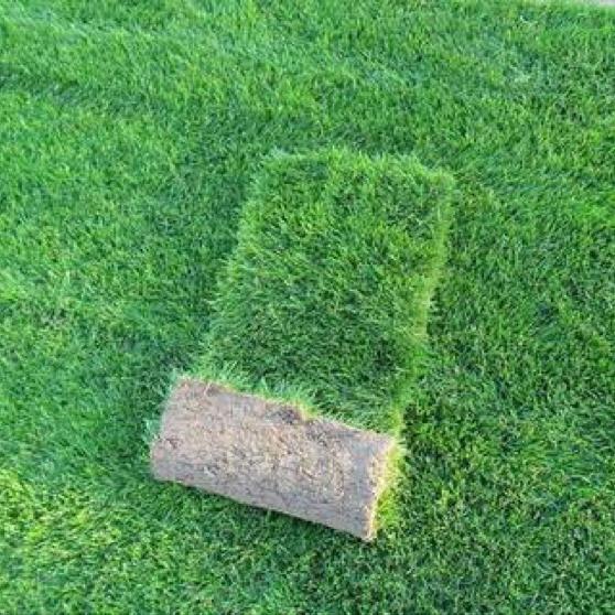 湖南湘禾园林有限公司