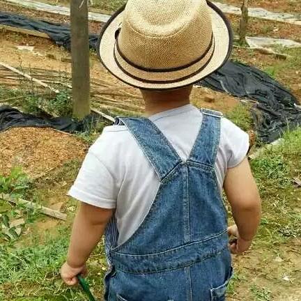 绍兴佬苗木基地