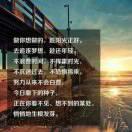 军月电脑