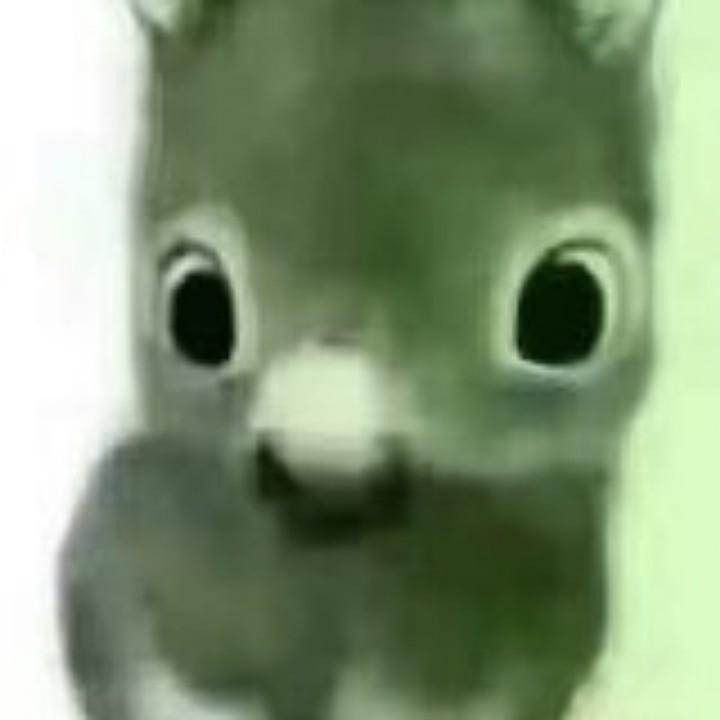皇非虎