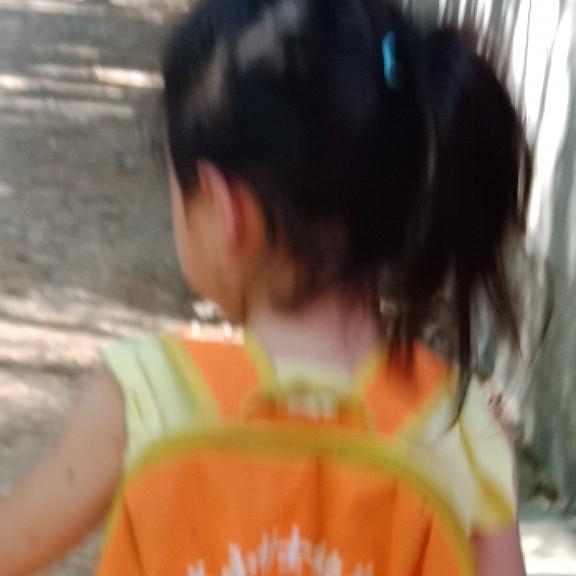 搬砖人小兰（工地版）