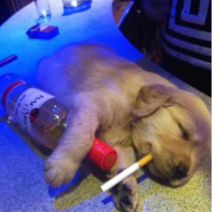 ༊ღ᭄如ꦿ꯭果꧔ꦿ᭄୧⍤⃝💞