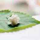 韩利爱拼才会赢！