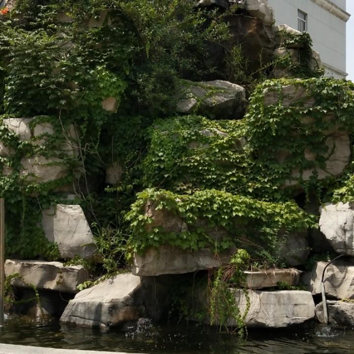夏沫:浅笑