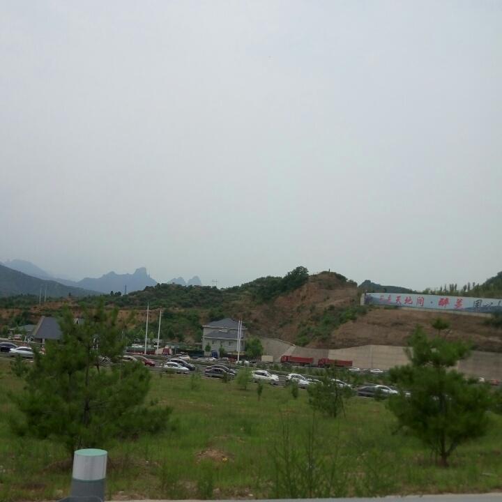 请叫我小调皮😝