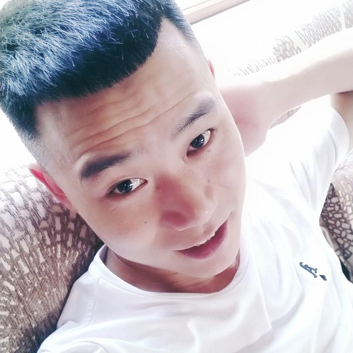 黄 、龙