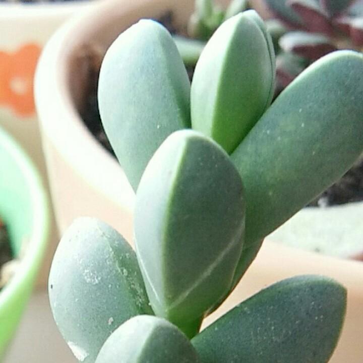 过眼云烟