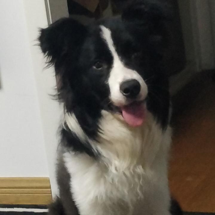 黄先生