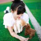 小施妹养宠日记
