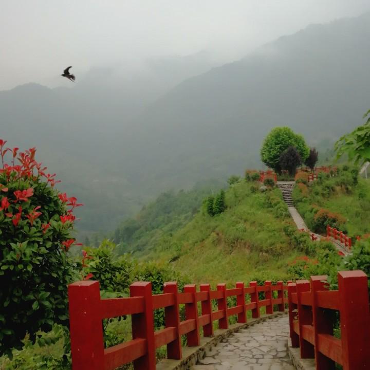 湔江印象民宿曹掌柜