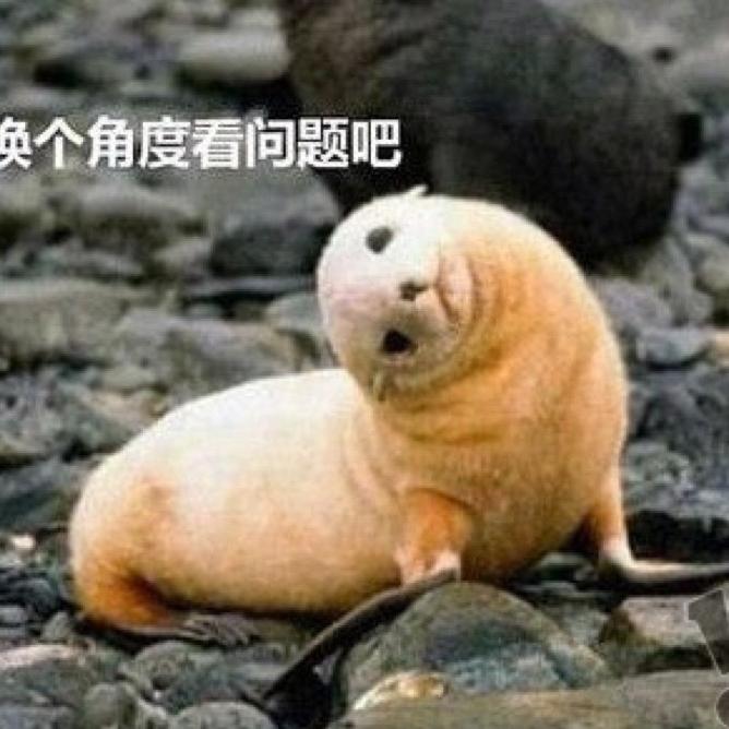 空心竹