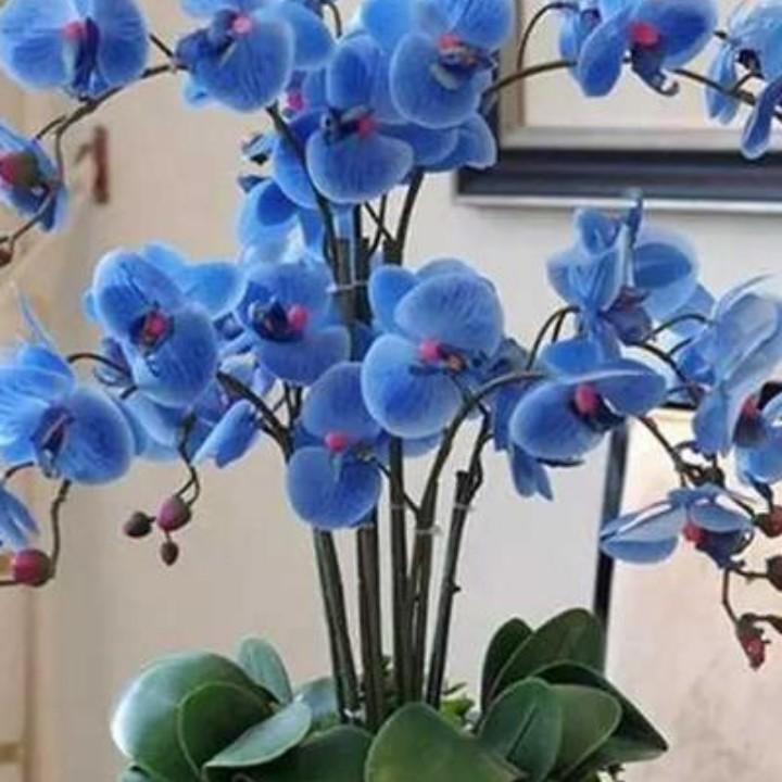 水含冰